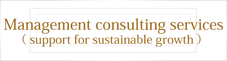 Management consulting services (support for sustainable growth)