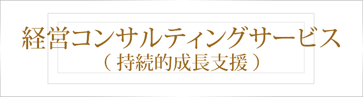 経営コンサルティングサービス（持続的成長支援）