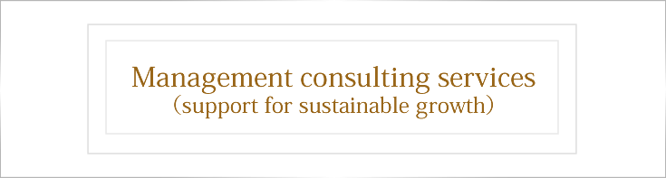 Management consulting services (support for sustainable growth)