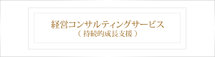 経営コンサルティングサービス（持続的成長支援）